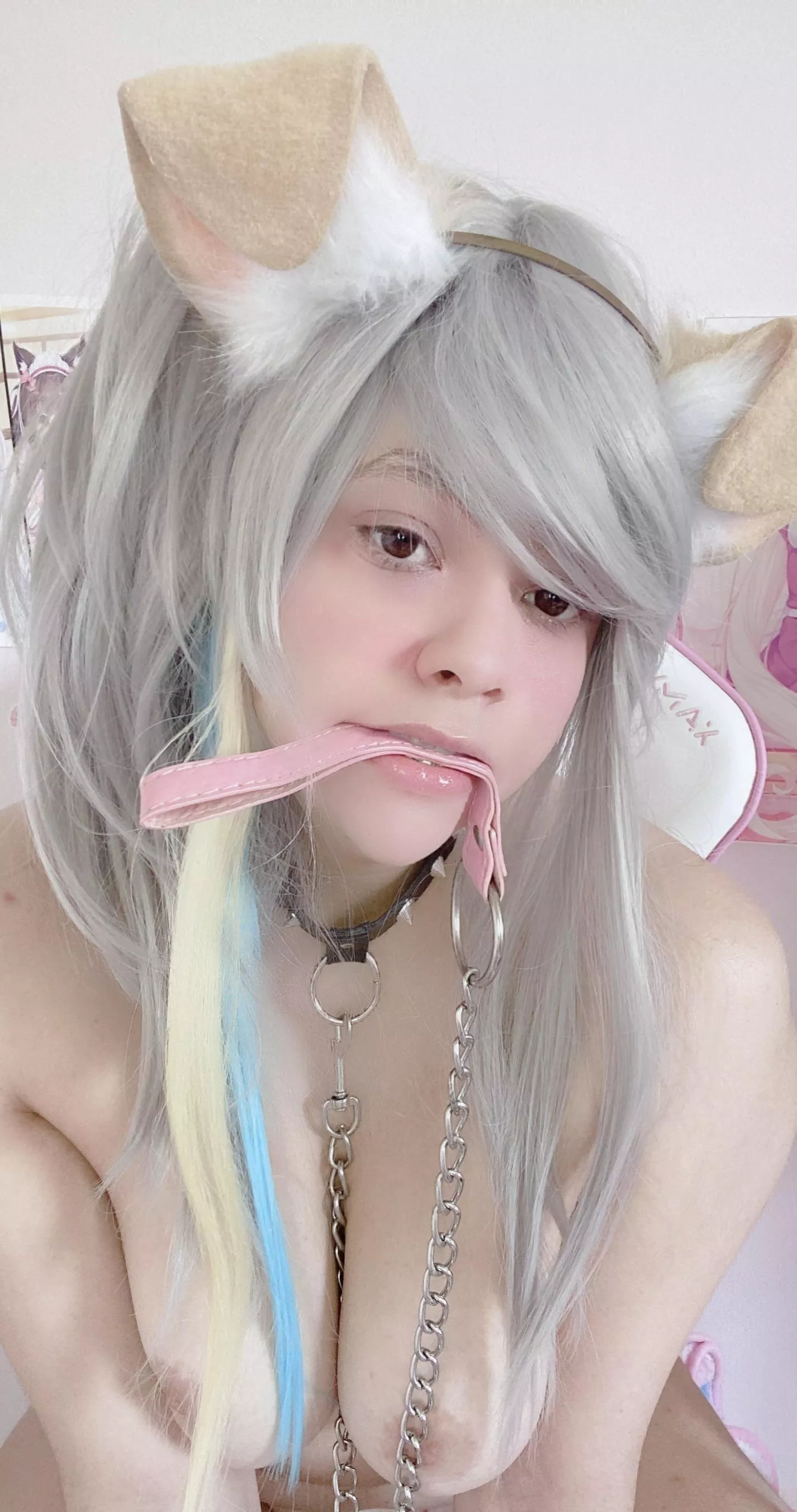 would you fuck me or walk me? [f]