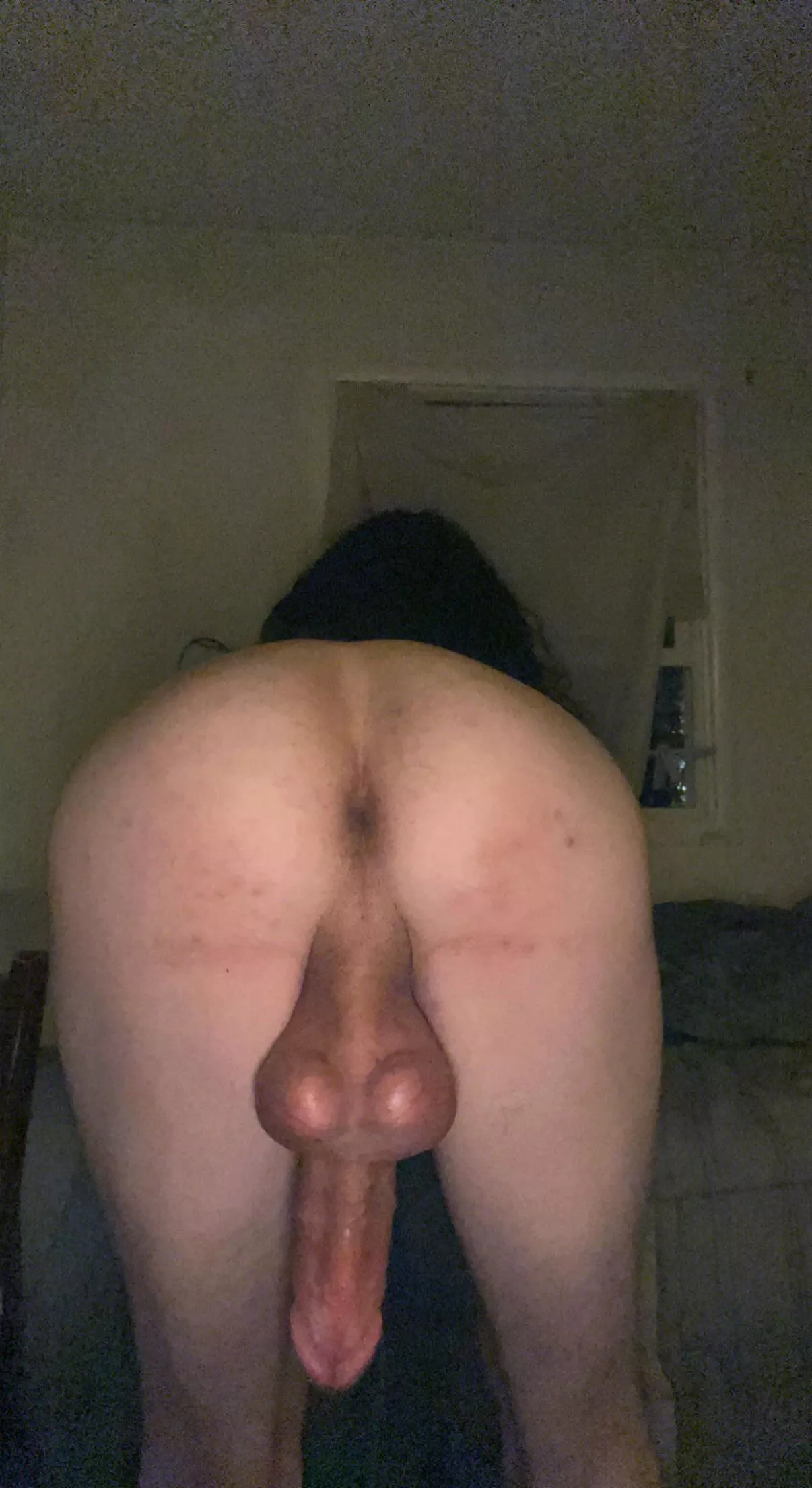 22 phat fembooty hung freak twink sc@whttworld