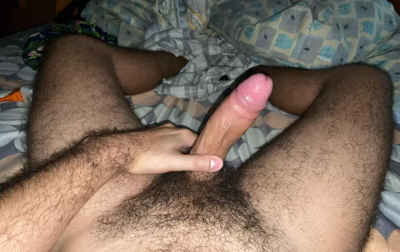 24 m hung hairy bush /body+++(hairier the better) long term ++ slim fit+ trade vids/pics sc : joaobpenn