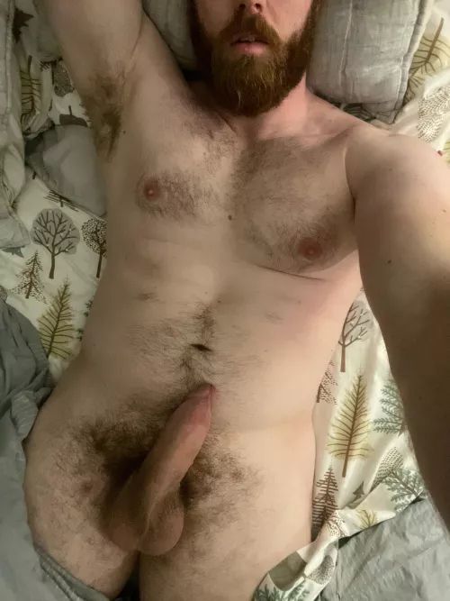 28, 6’5”, bi and ready to please you with my thick beard, thick cock or fat ass. Which one do you want?!