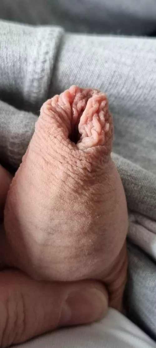 (44) wanna touch it ?