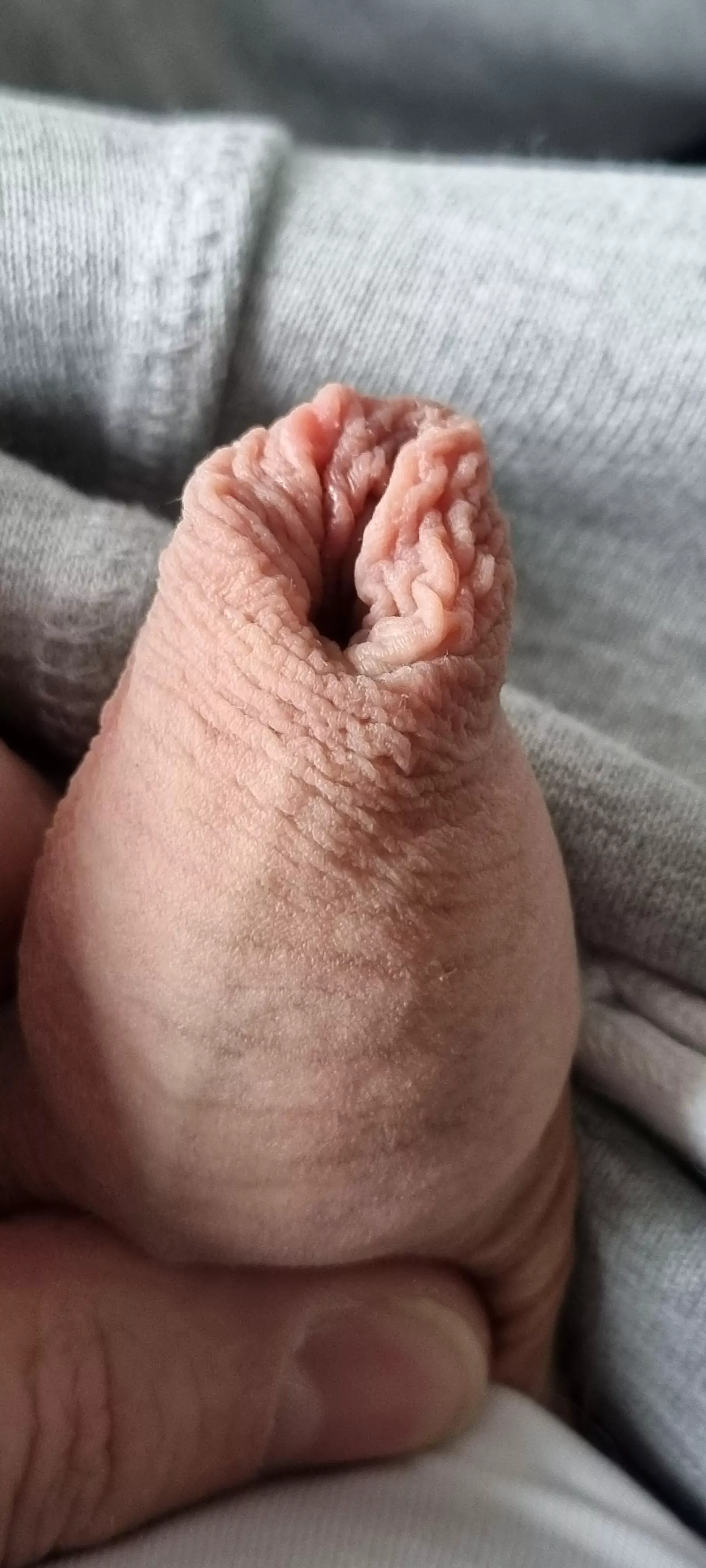 (44) wanna touch it ?