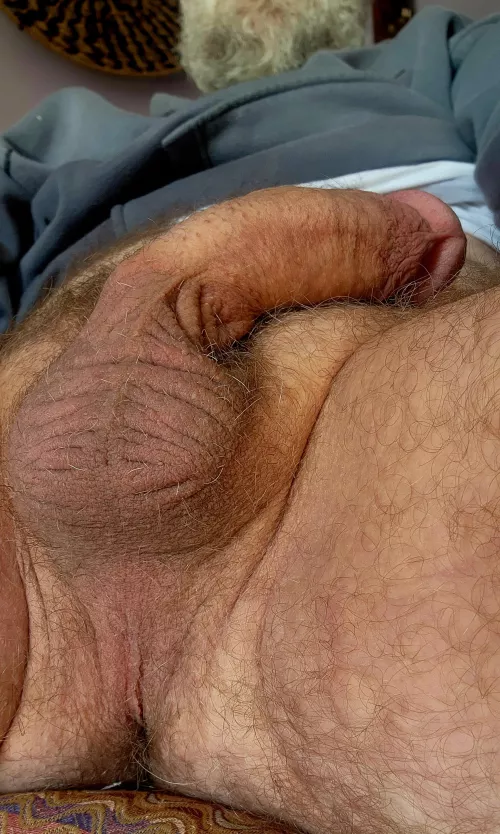 After you're done licking daddy's hairy ass, move on up.