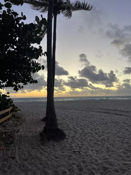 Beautiful as the person reading this ✨