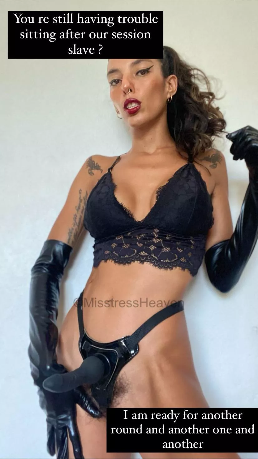 Begging for another round ?