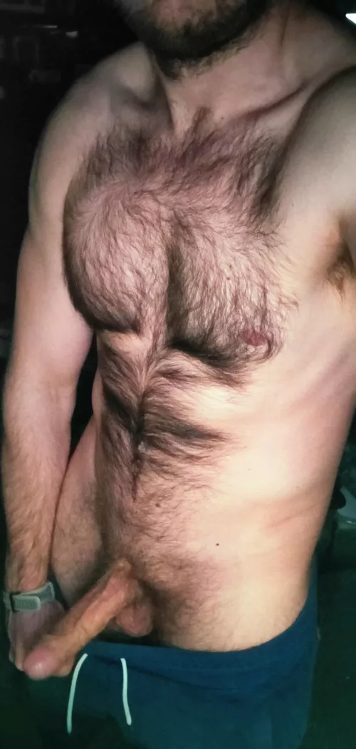 Chest hair porn check