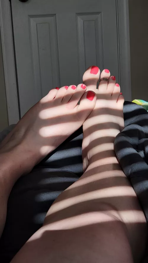 Cum worship my feet in the morning light 🔆