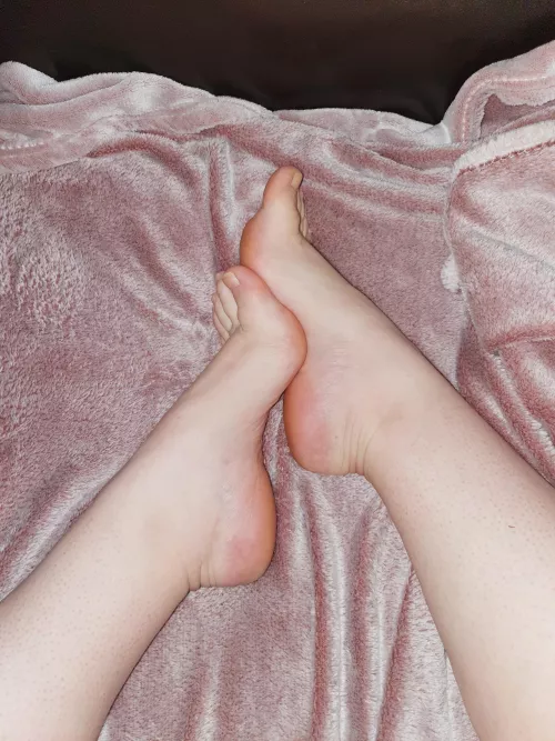 Do you like my arches?