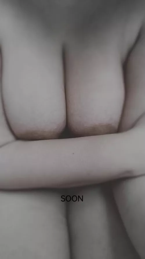 f26, 170,164 Exploring erotica.