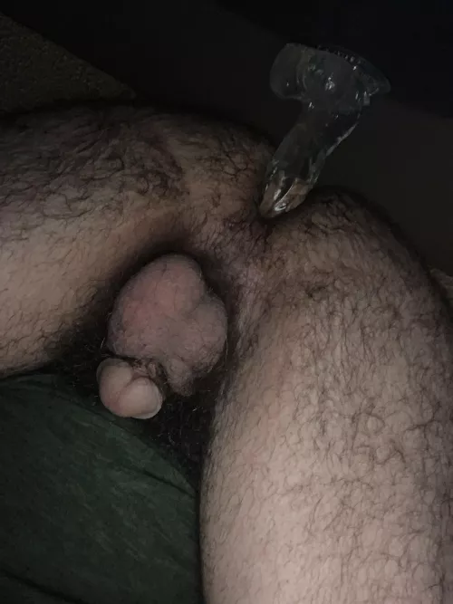 Hairy ass and dildo