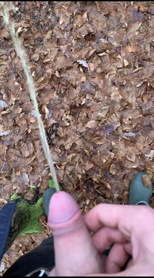 In a forest, I pee in the middle of the road. Some strangers saw me and they were acting like that they didn't see me