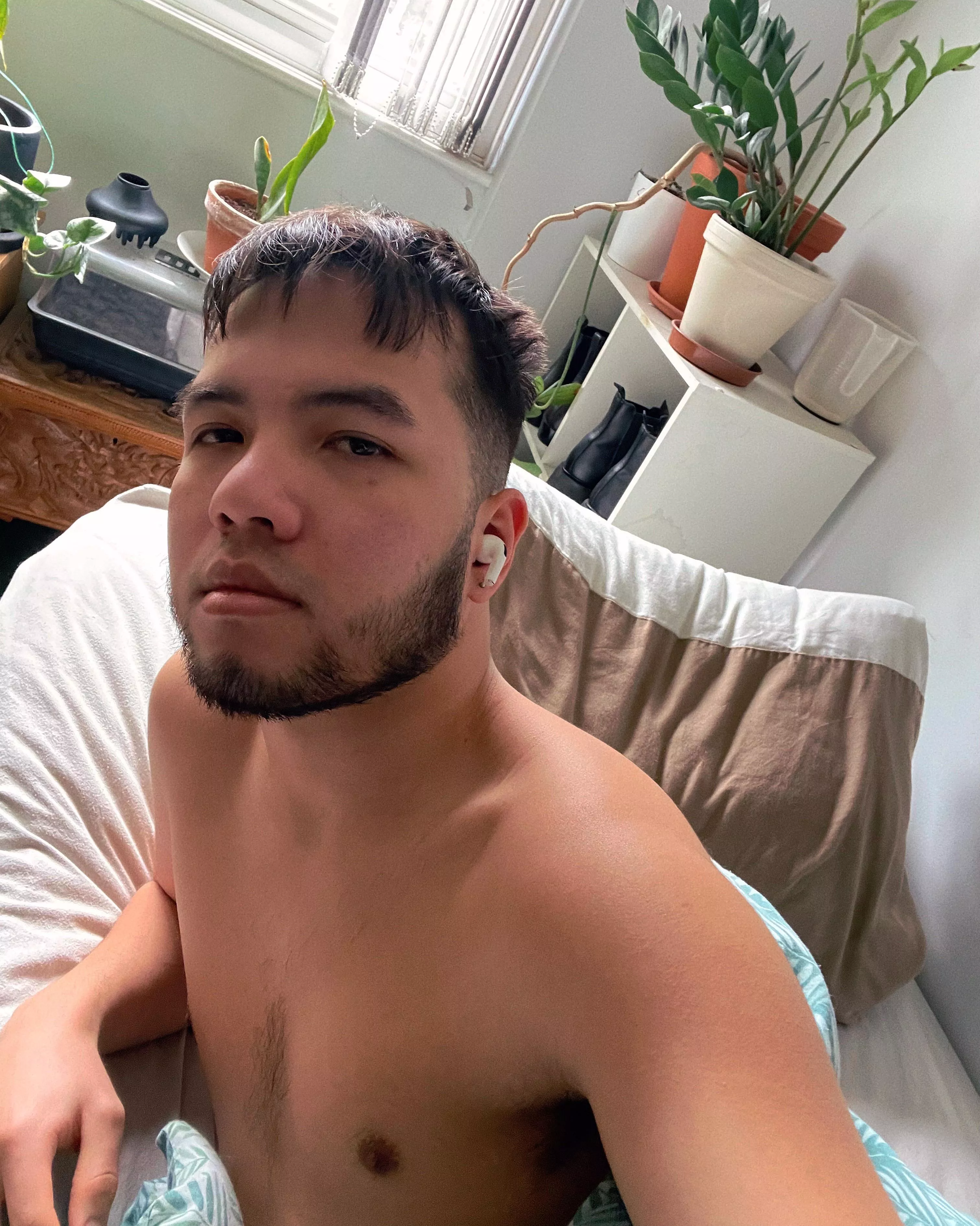 Lazy day, might grind Destiny 2 later before Lightfall arrives