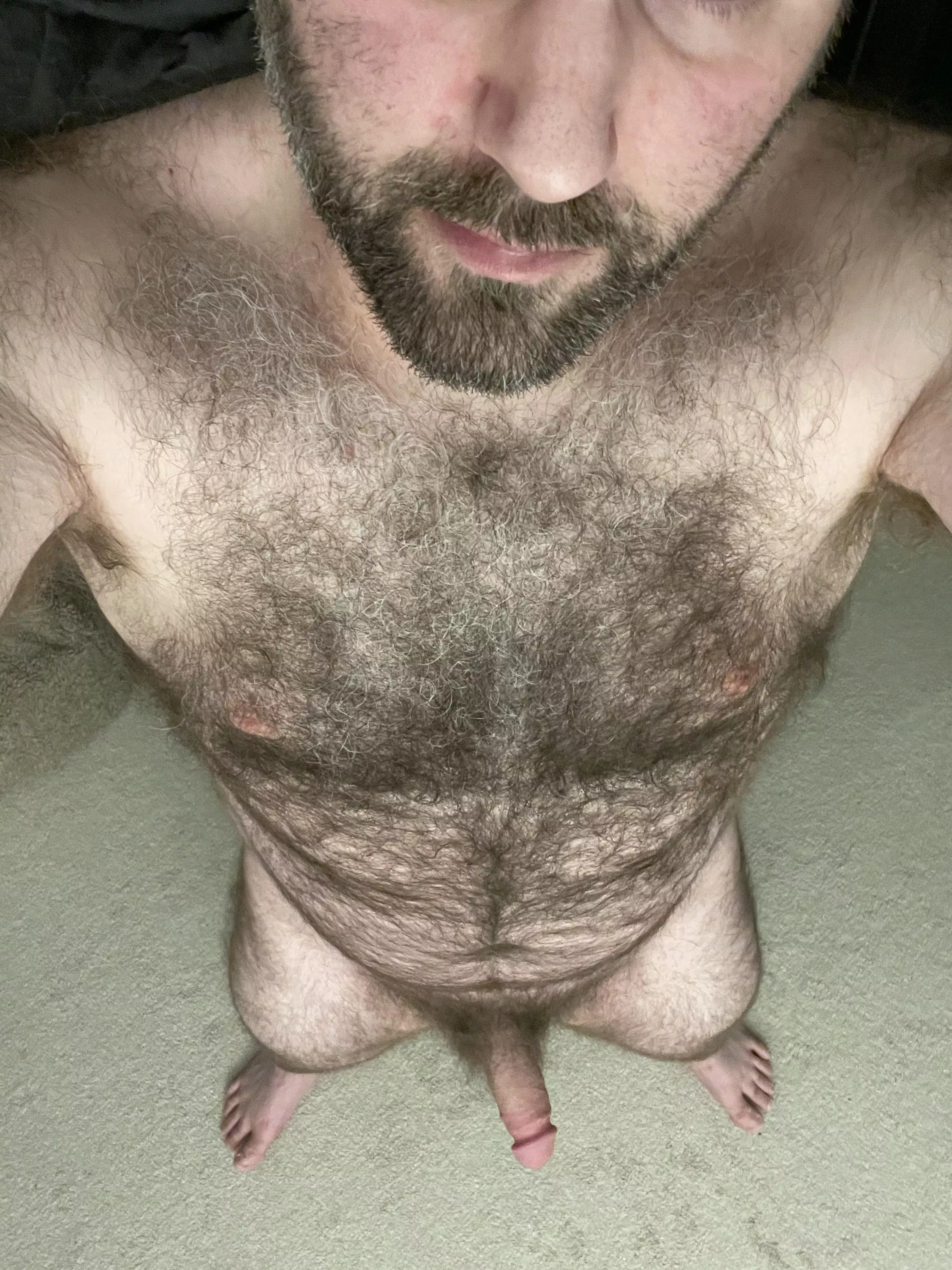 Like hairy? [40]