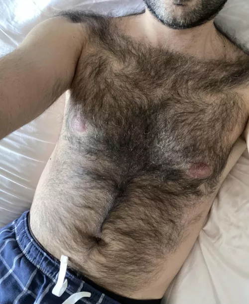 Looking for a hairy cute guy like me / otter +