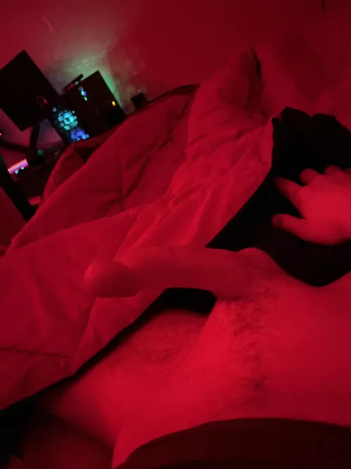 m19 (top) i need help