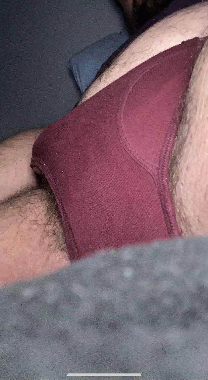 Sniff my bulge?