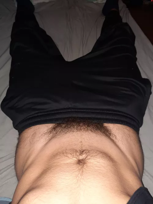 the bush peeking out😶