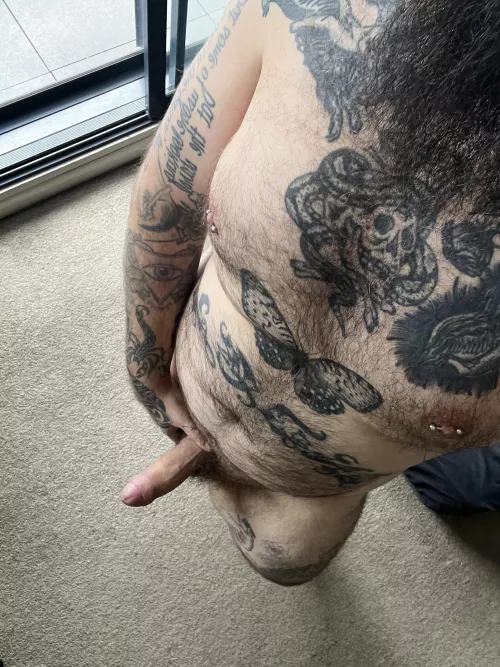 Would you let me breed you?