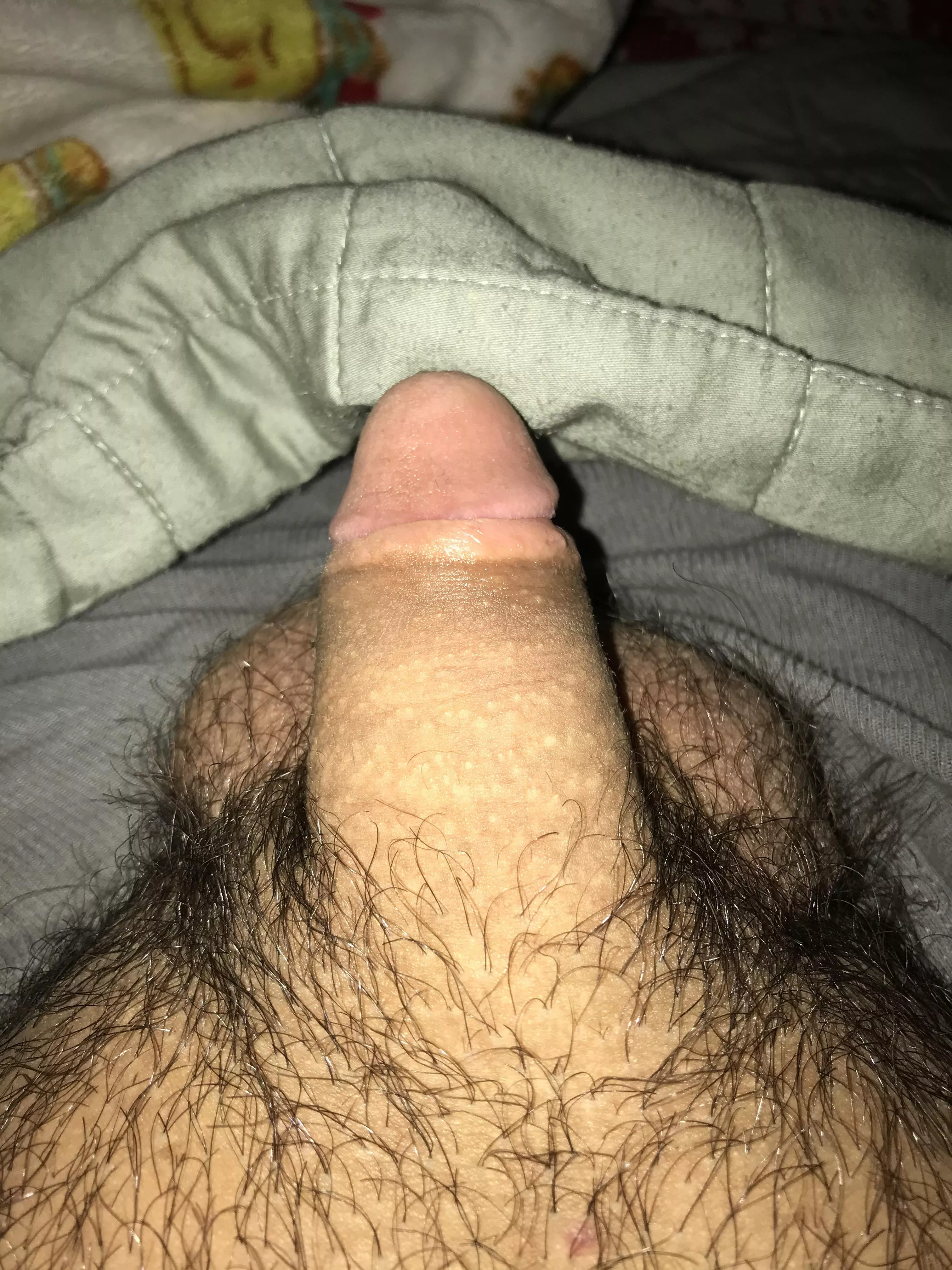 19 bored and horny looking for fun hmu