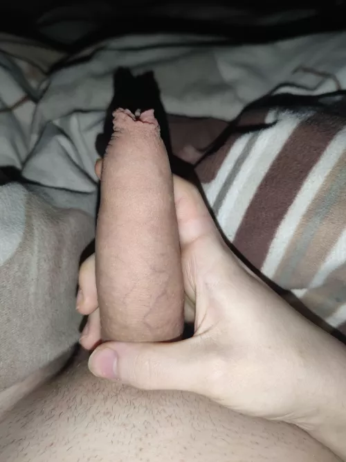 (20) my daily post as usual