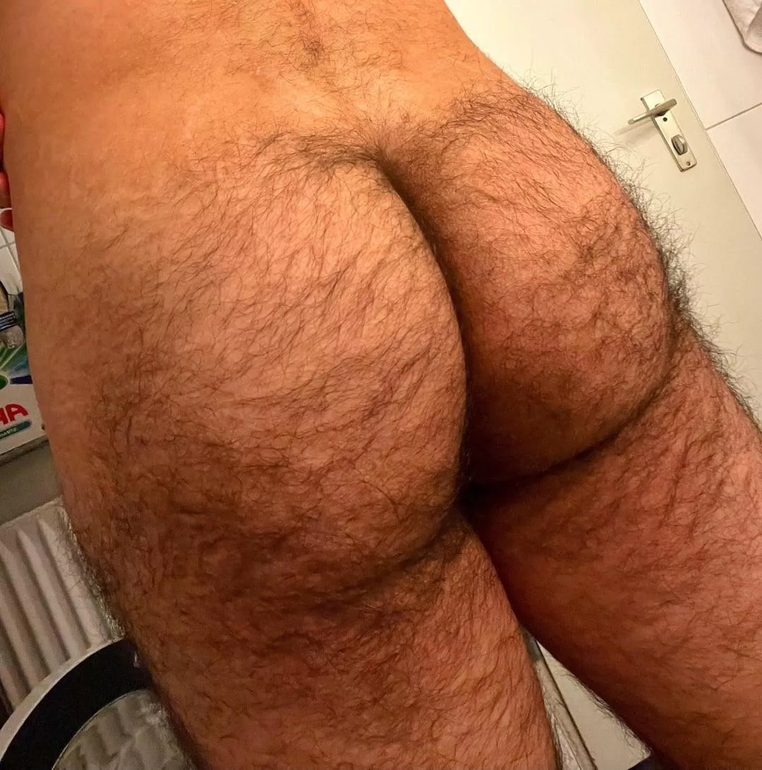 25 DL bottom bro with a big furry ass. 🤩 DM me or add my snap: Sctyf3