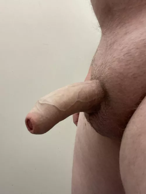 [41] Poor little fella needs a playmate.