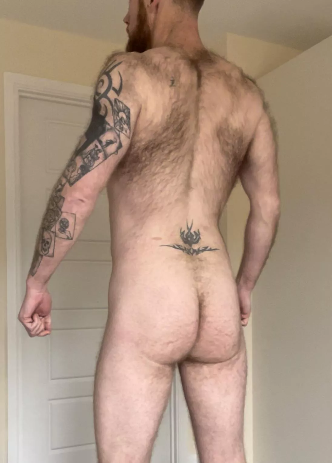 Do you like hairy guys?