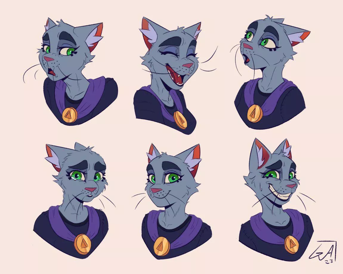 Expression sheet for one of my kitty characters :) ~ Art by me 🍪 (@ArtsGalinn on Twitter)