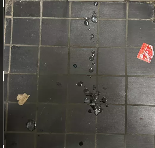 First time posting, just sucked a guys dick, and jerked myself off in the school washroom.