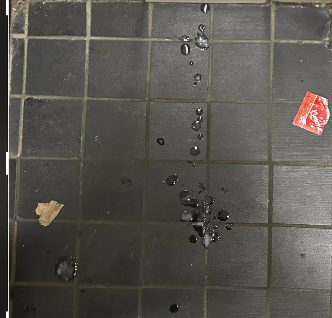 First time posting, just sucked a guys dick, and jerked myself off in the school washroom.