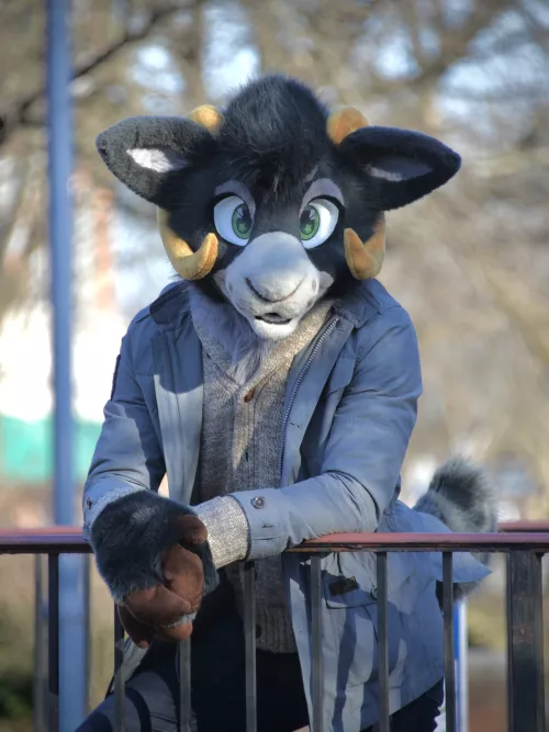 FursuitFriday - you lookin’ at my nub??