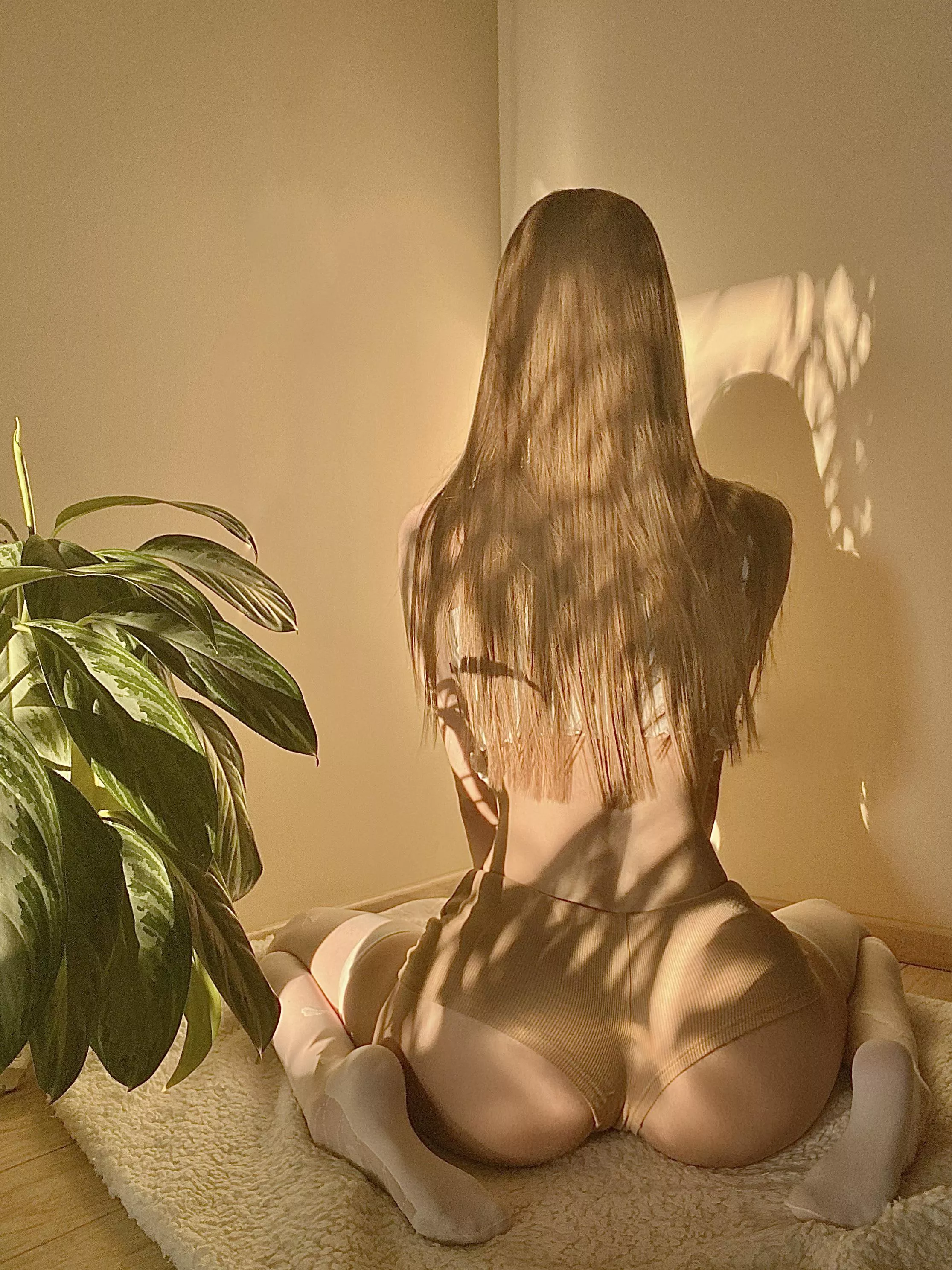 greetings from my butt!