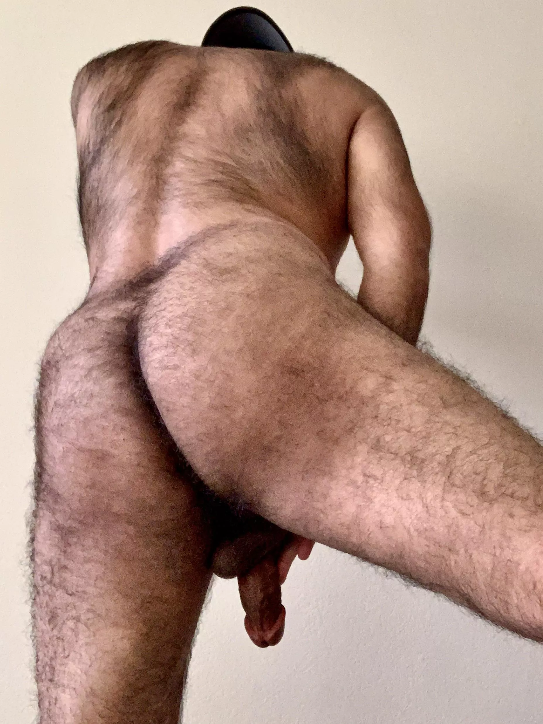 Hairy back, hairy butt, hairy balls. You like?