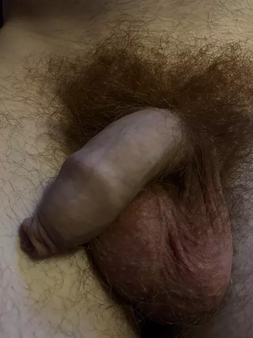 Heavy and sleepy 🥱