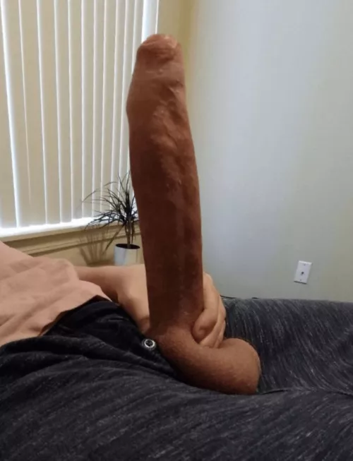 how’d you react if i pulled this out?