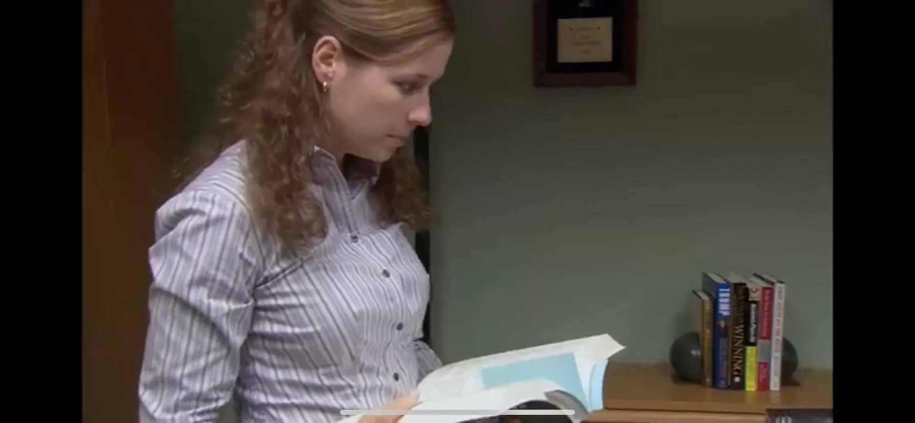 Jenna Fischer (Pam from The Office)