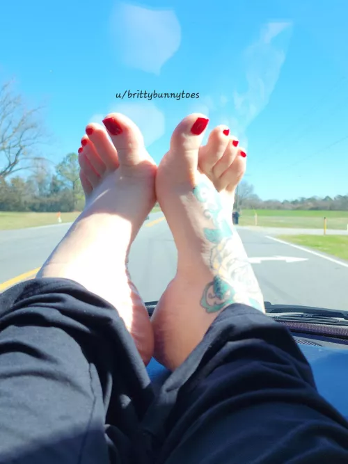 Let's go for a ride 💖🐰💖