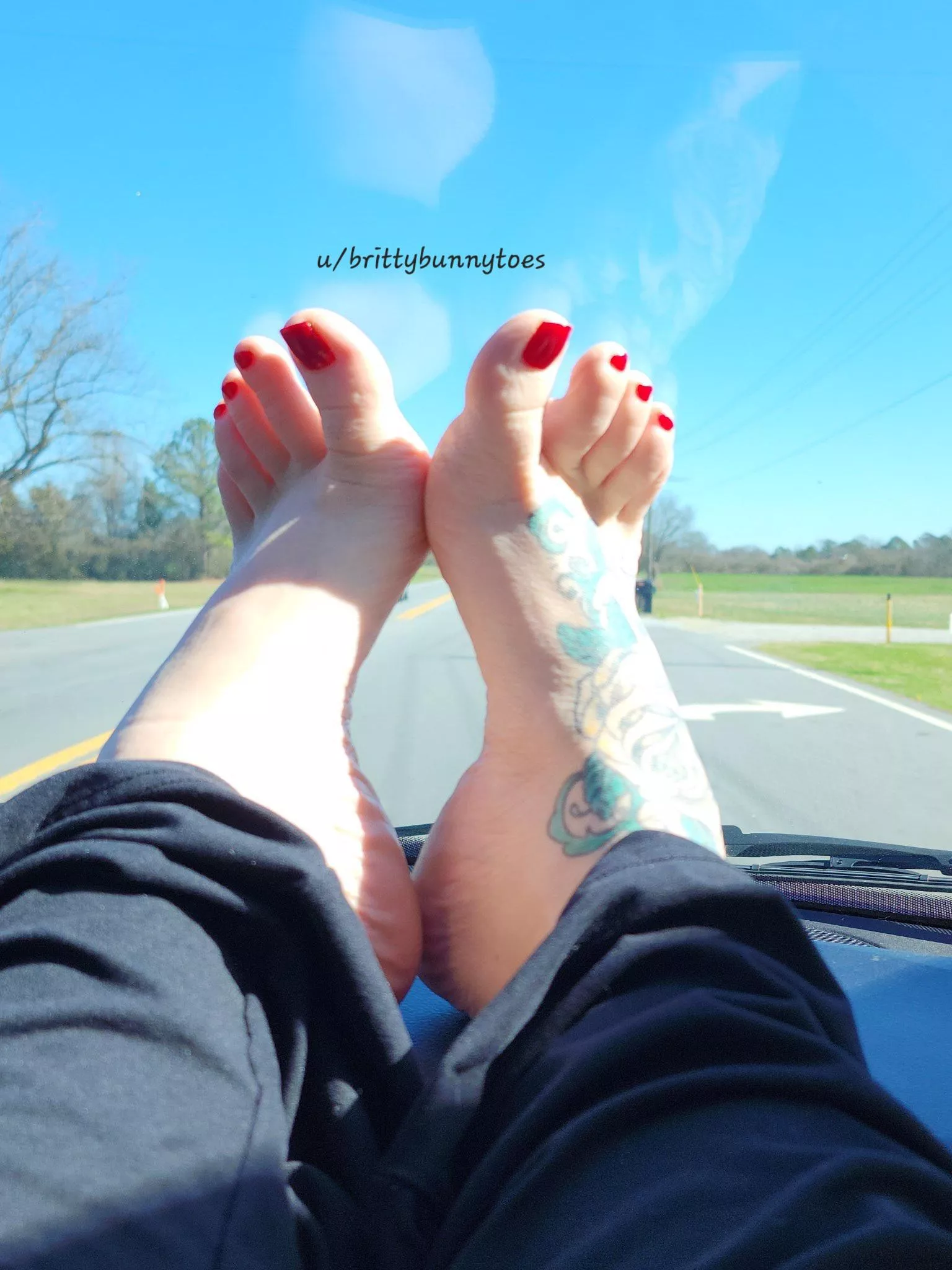 Let's go for a ride 💖🐰💖