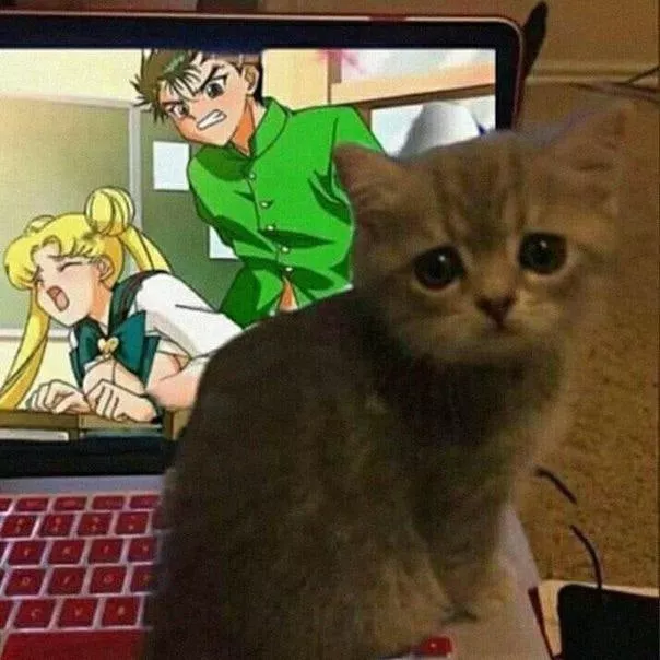 LF color source: 1girl, 1boy, school uniform, very long hair, blonde hair, indoors, from behind, closed eyes, open mouth, blush, look at another, no bra, breasts outside, sex, brown eyes, meme, sailor moon, usagi tsukino.