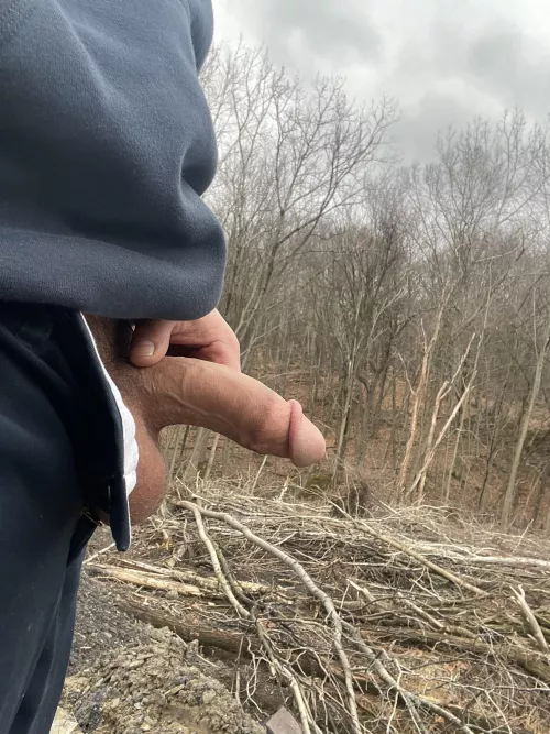 Love having my cock out