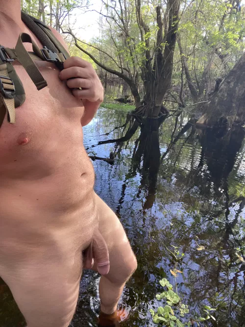 Making my way through the wilderness