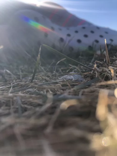 Mismatch socks laying in the grass. Don’t you wanna crawl up them?