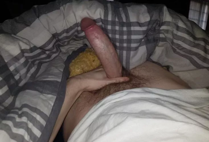Morning wood