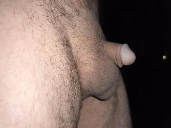 Neighbors definitely can’t see this