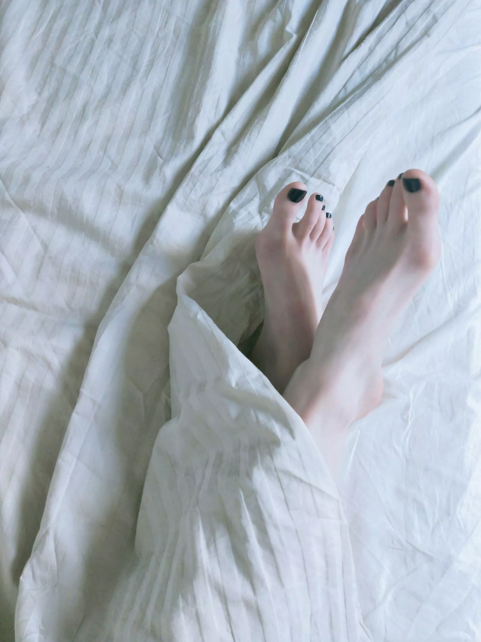 Please suck my toes 👣