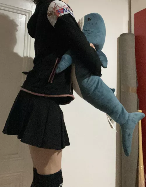 Reminder for everyone to hug their blahajs!