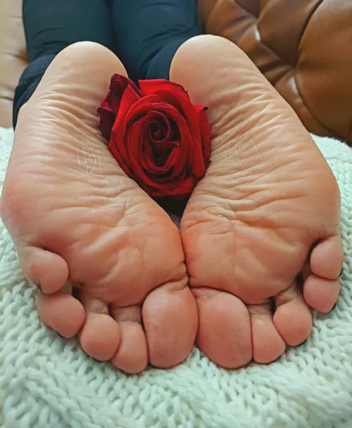 Run your tongue across my soles 🥰