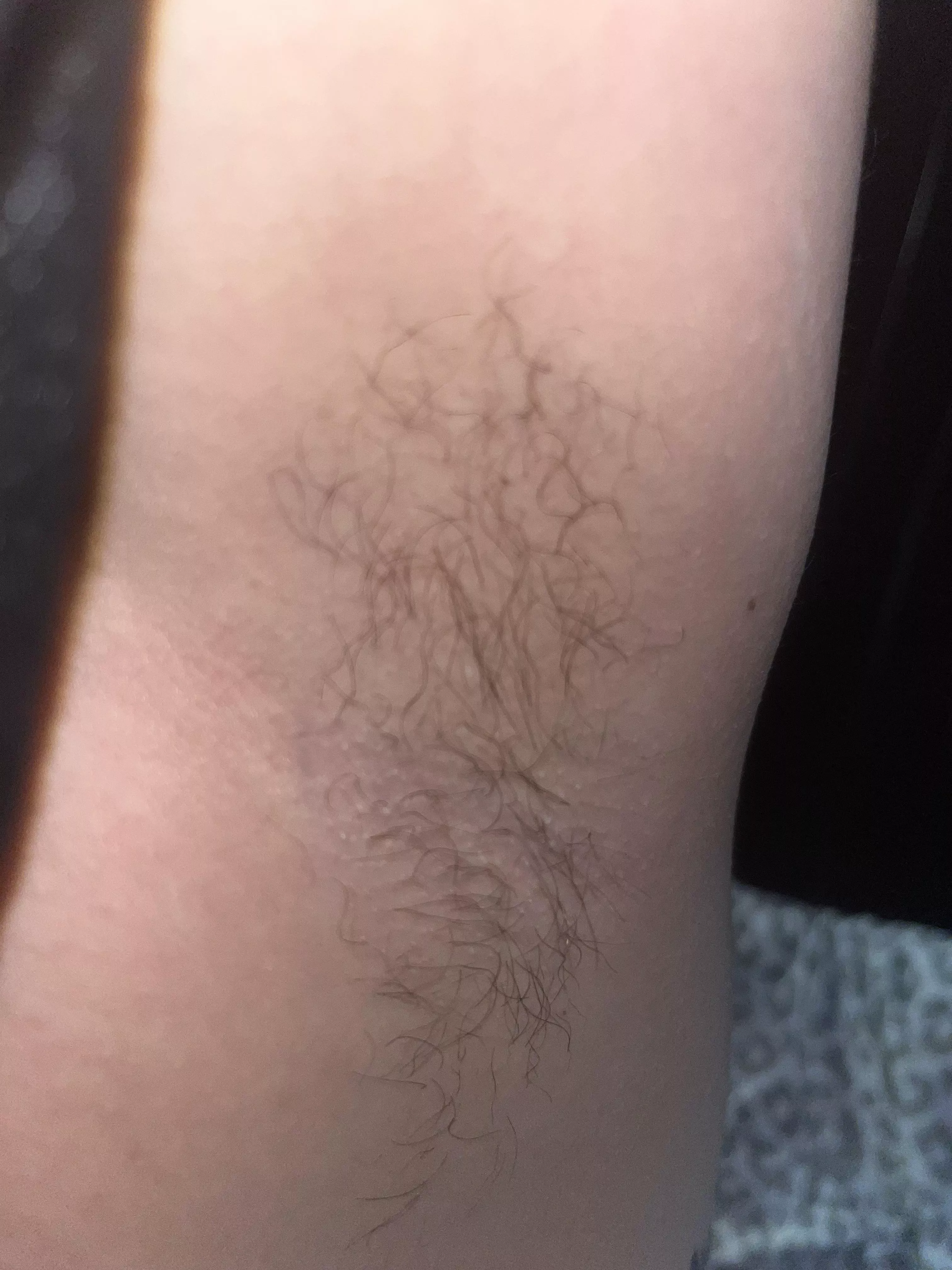 Should I collect it for safe keeping 🧐