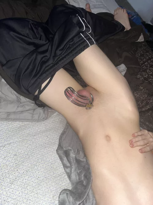 Sir has got me locked up just for him <3 :3