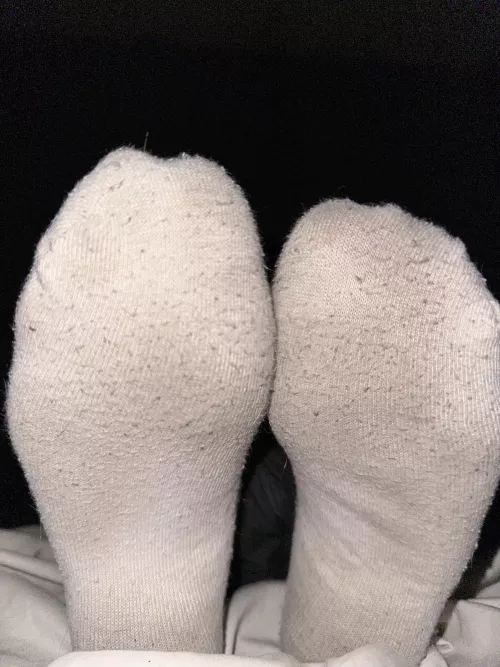 Sniff my smelly dirty socks I know you want too